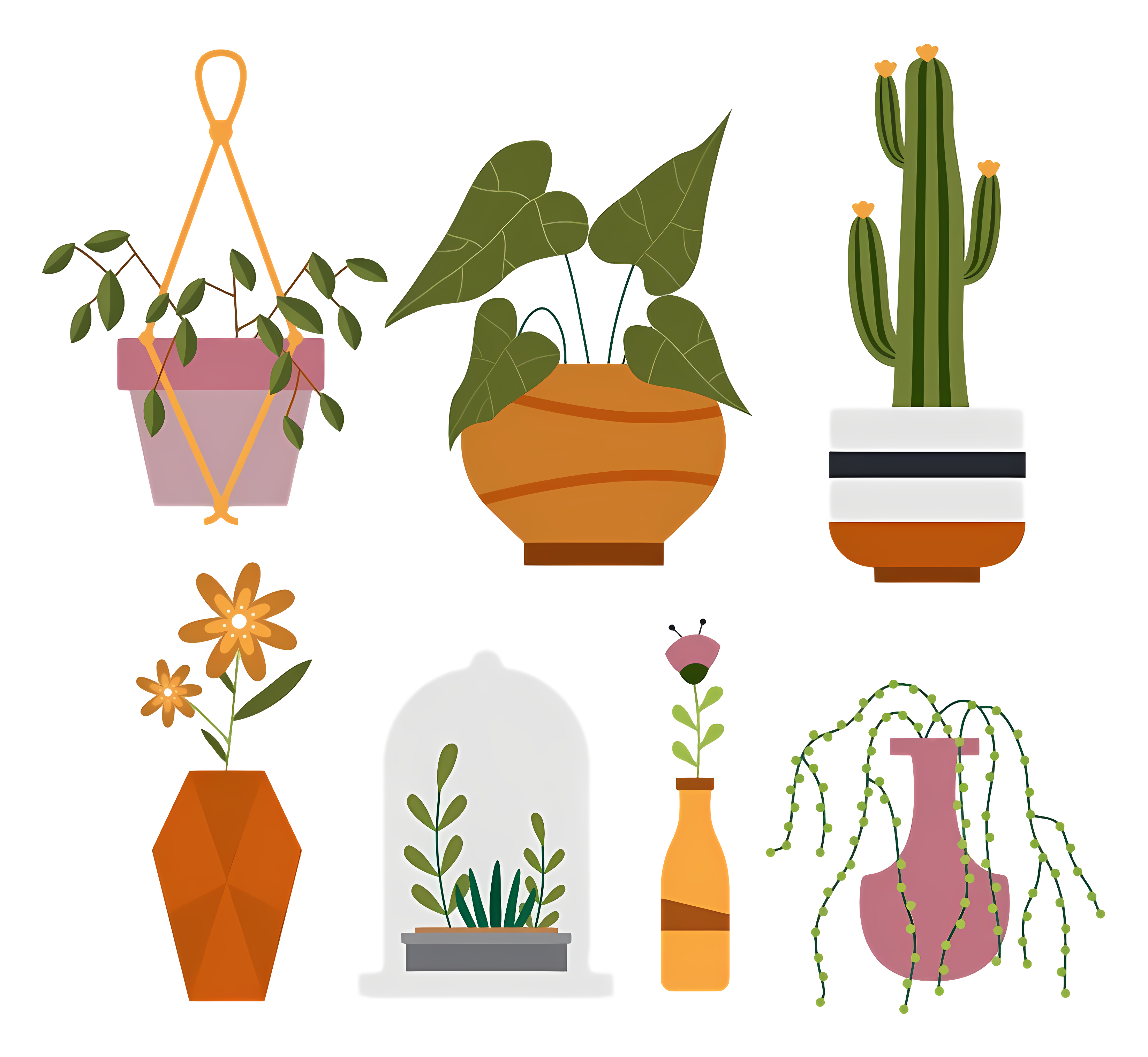 Collection of various plants in pots and hanging Clipart
