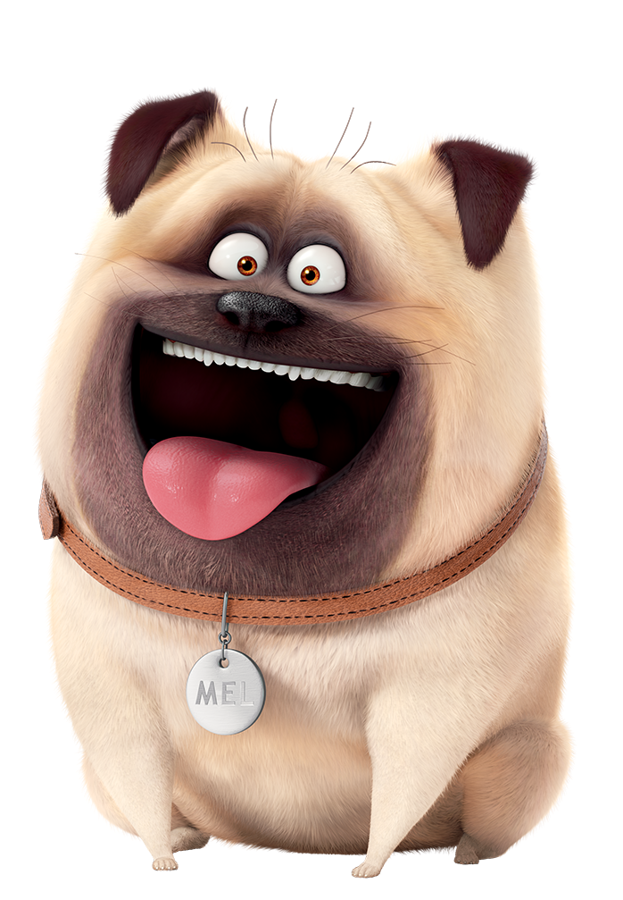 Pug Cartoon Clipart