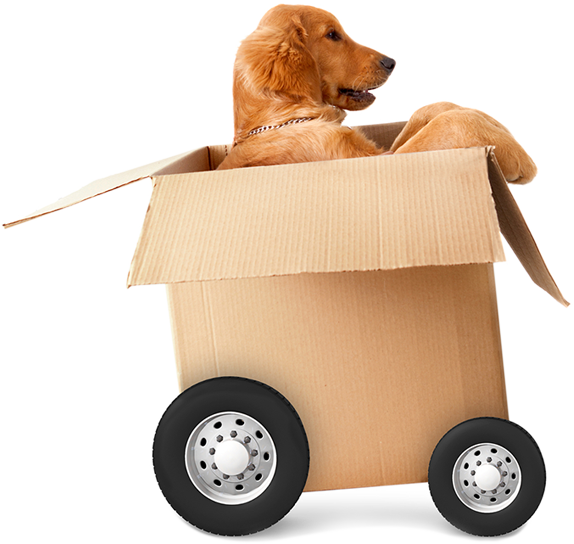 Home Cartoon Clipart