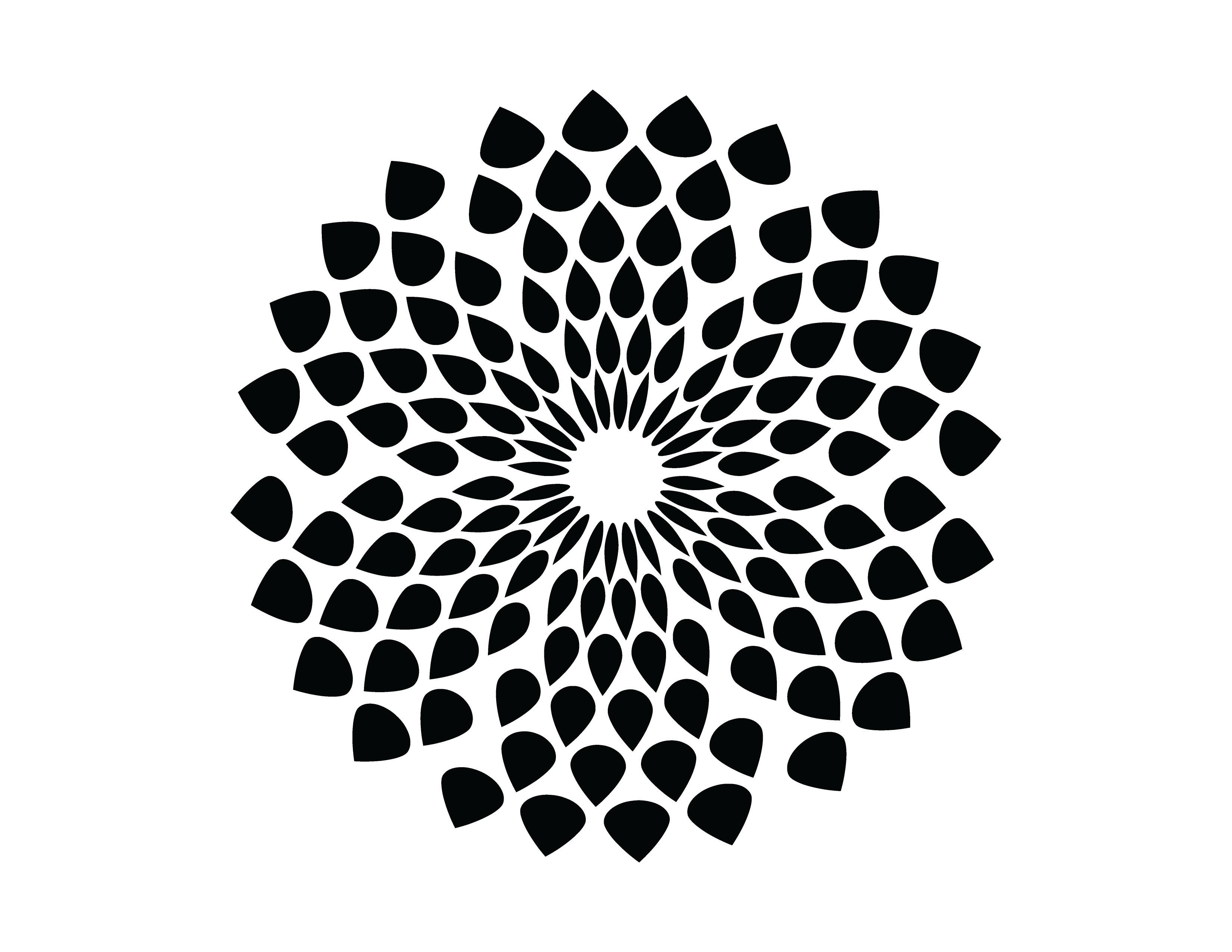 Circle Design Clipart