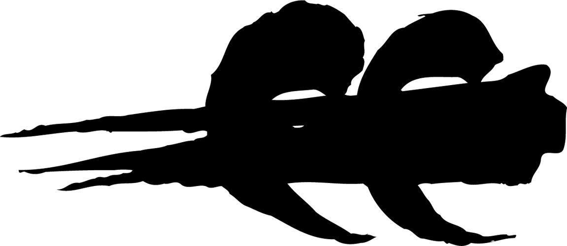 Skull And Bones Clipart