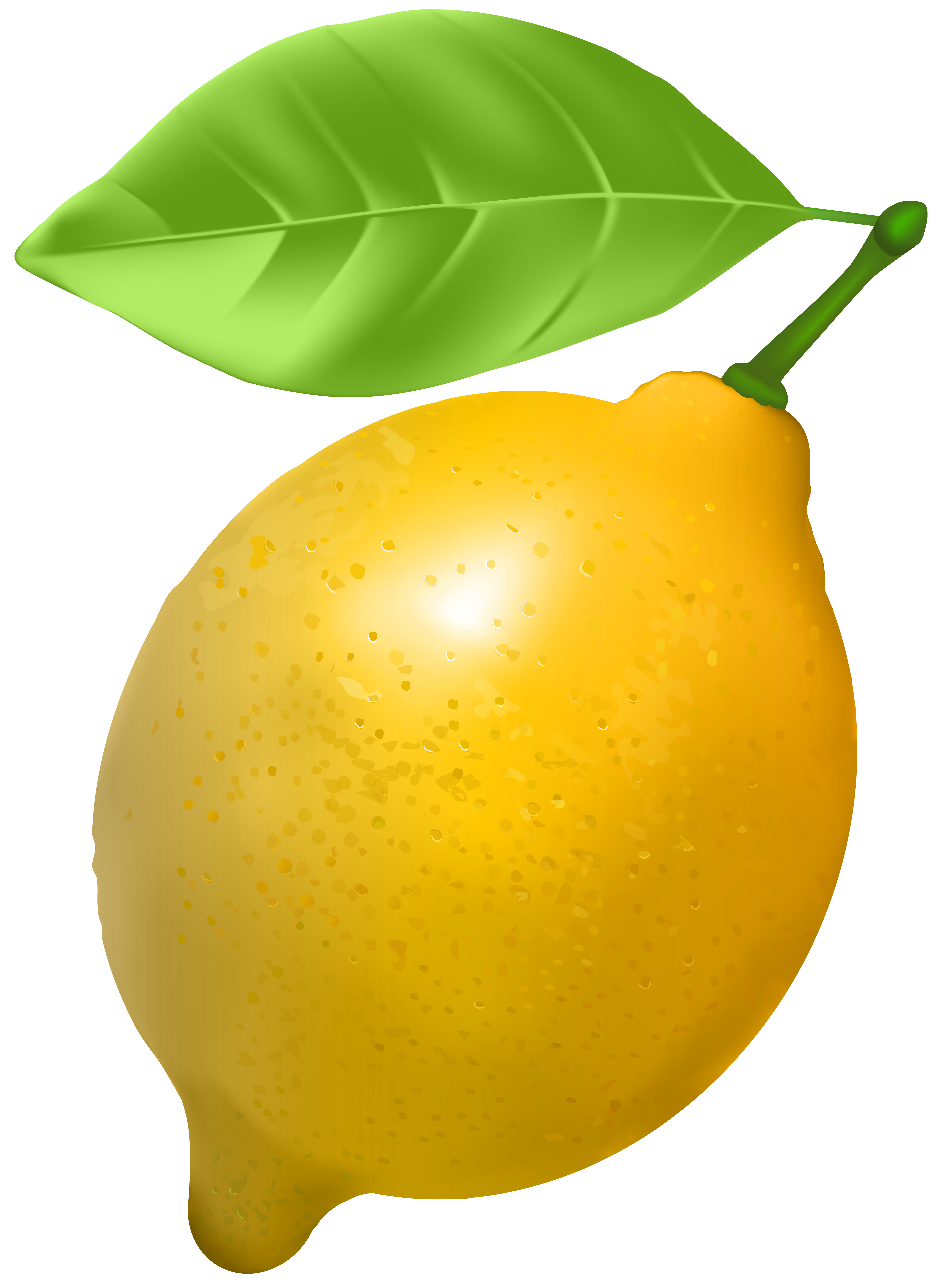 Lemon Clipart Clipart