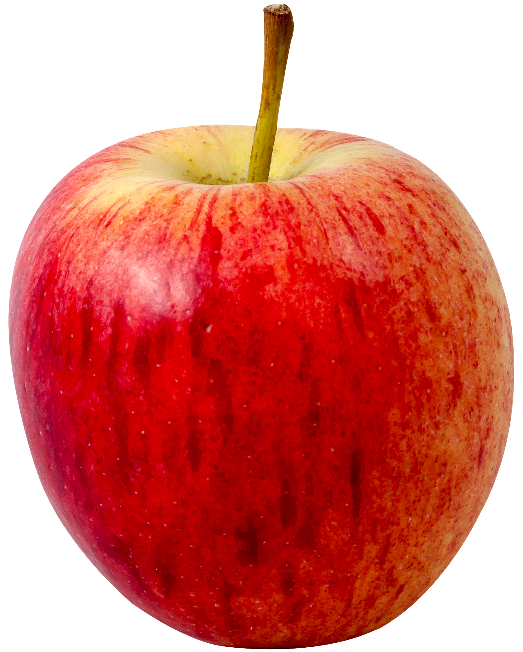 Healthy Food Clipart
