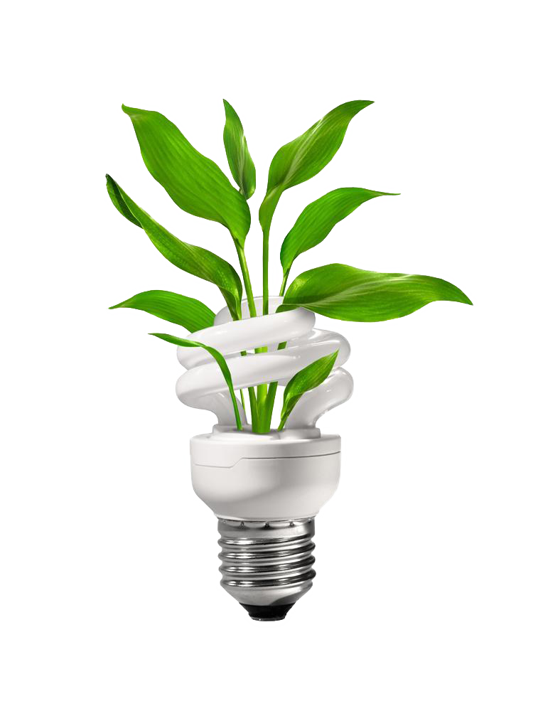 Light Bulb Cartoon Clipart