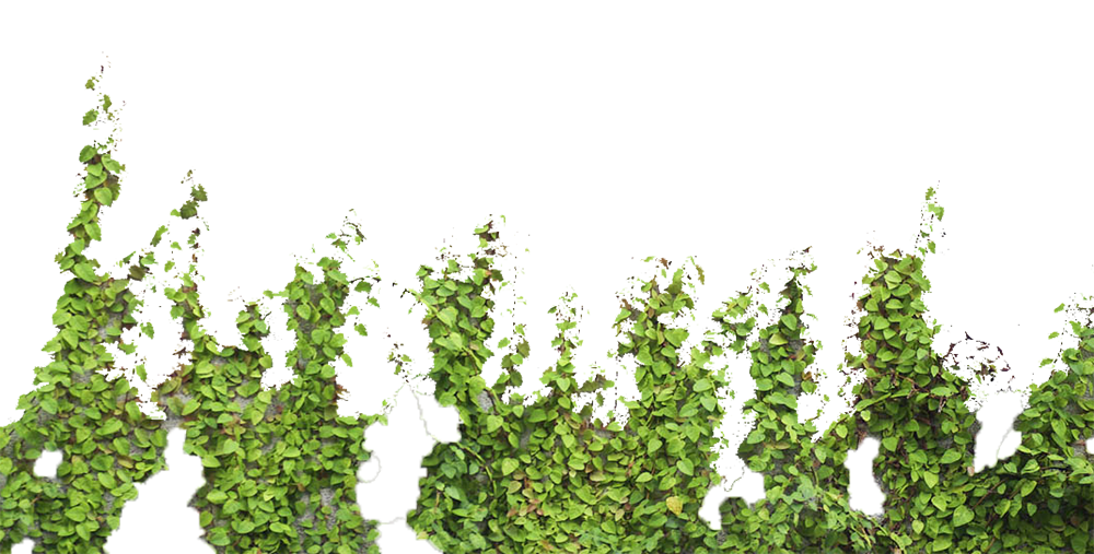 Green Grass Background Clipart