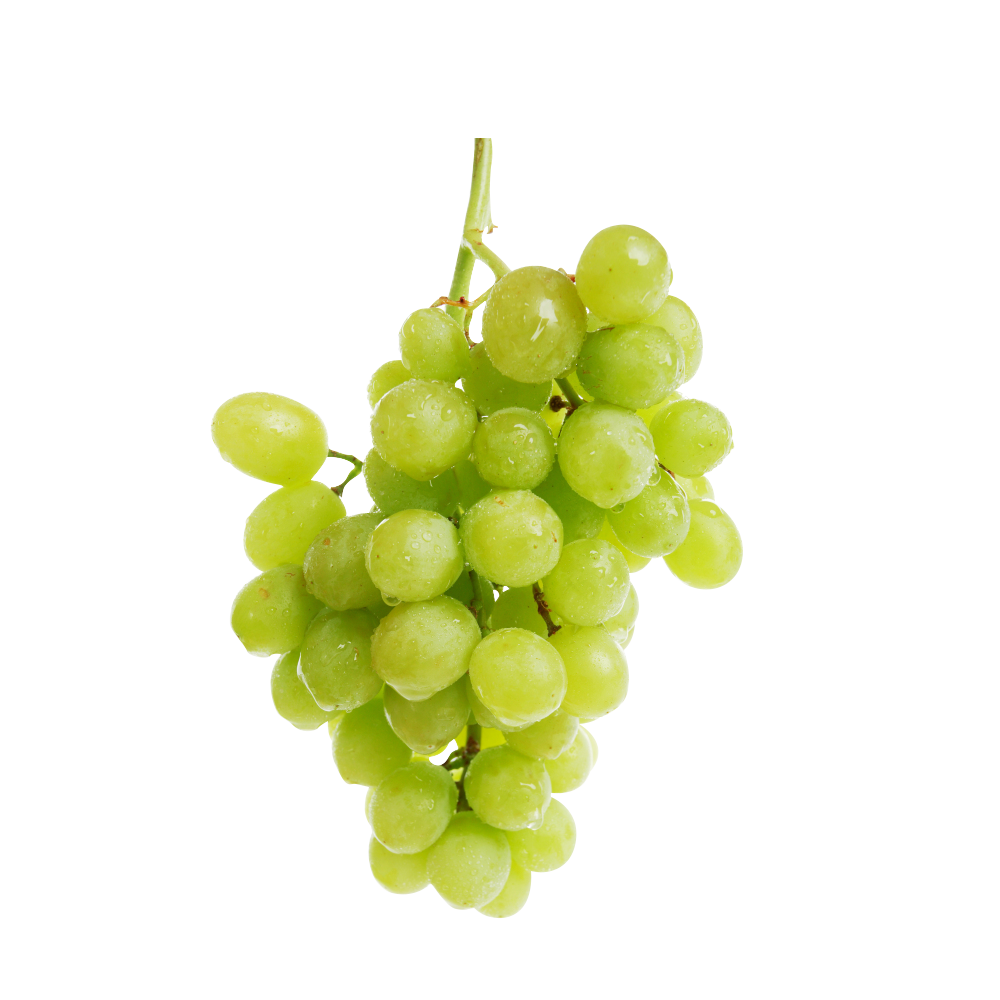 Grape Cartoon Clipart