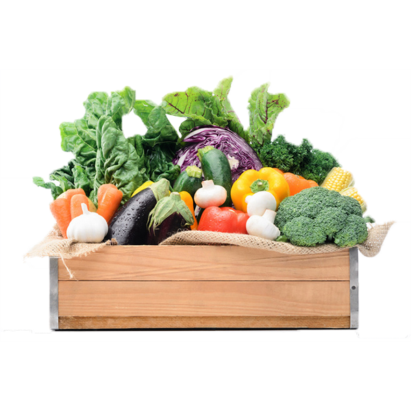 Frozen Food Cartoon Clipart