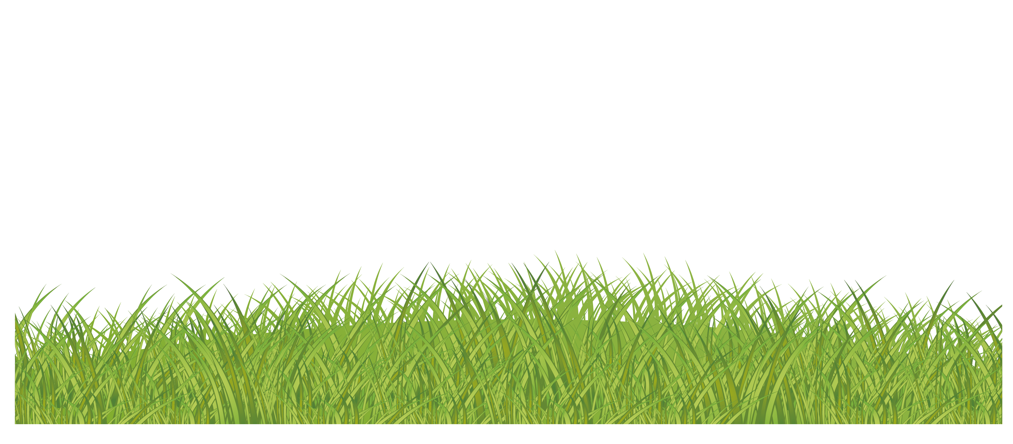 Green Grass Background Clipart