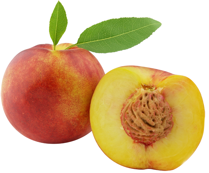 Apple Background Clipart