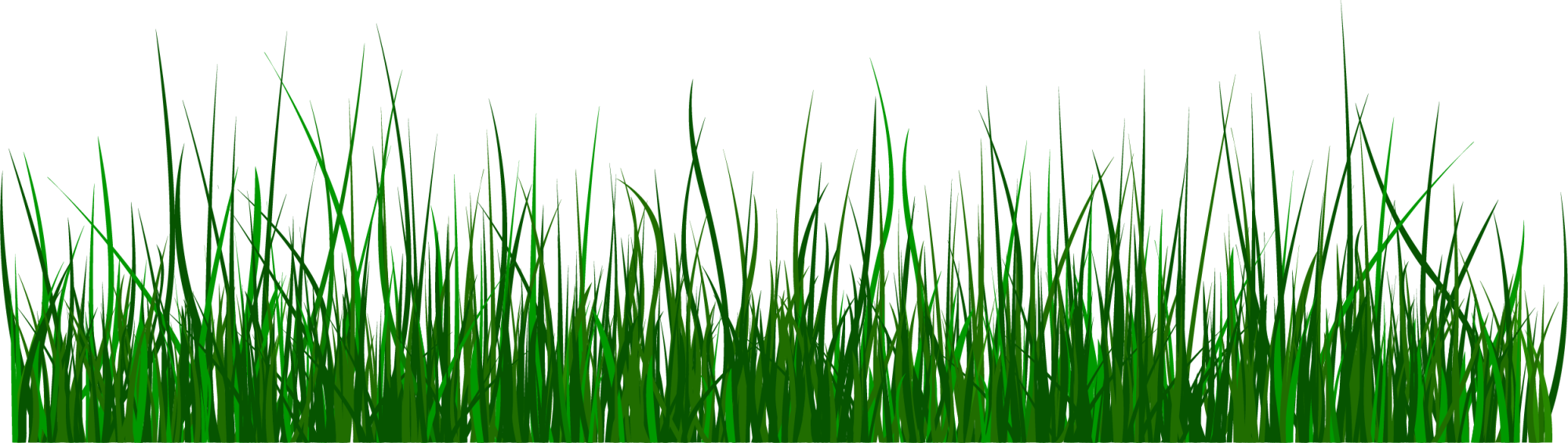 Green Grass Background Clipart