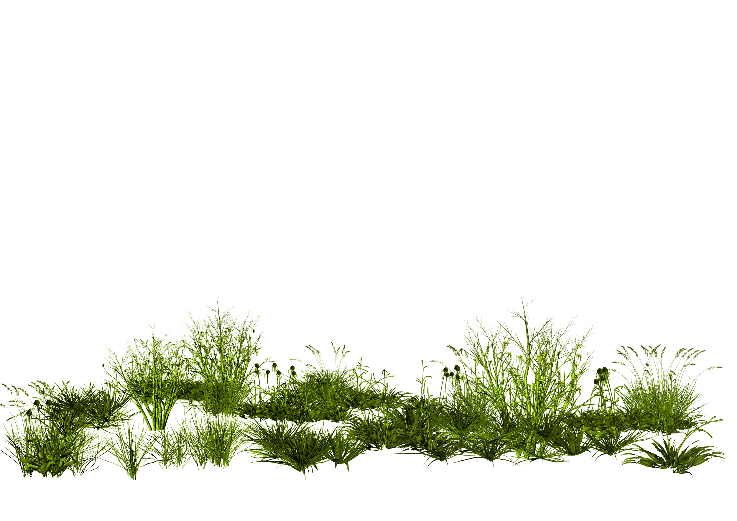 Green Grass Background Clipart