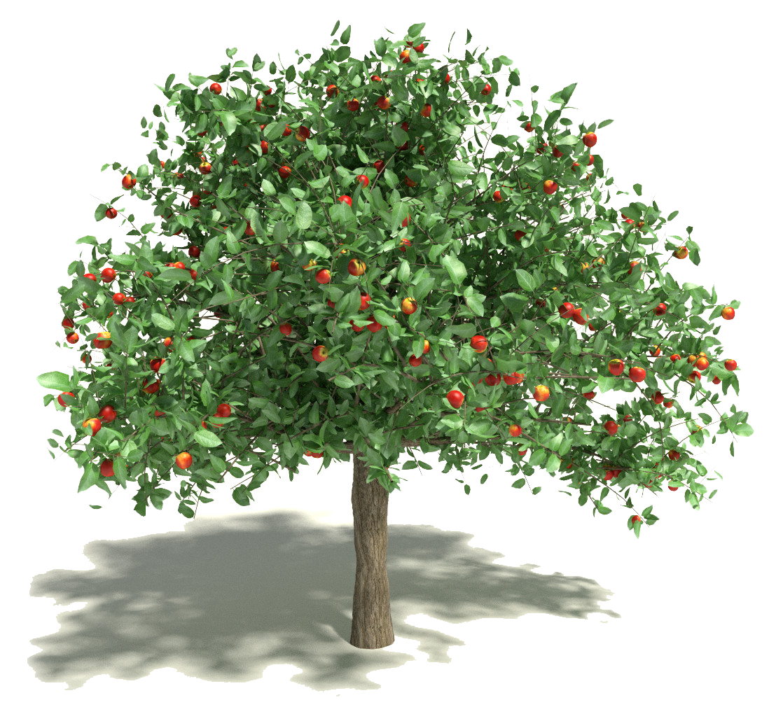 Apple Tree Clipart