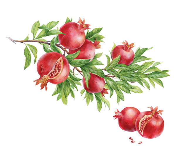 Watercolor Painter Clipart