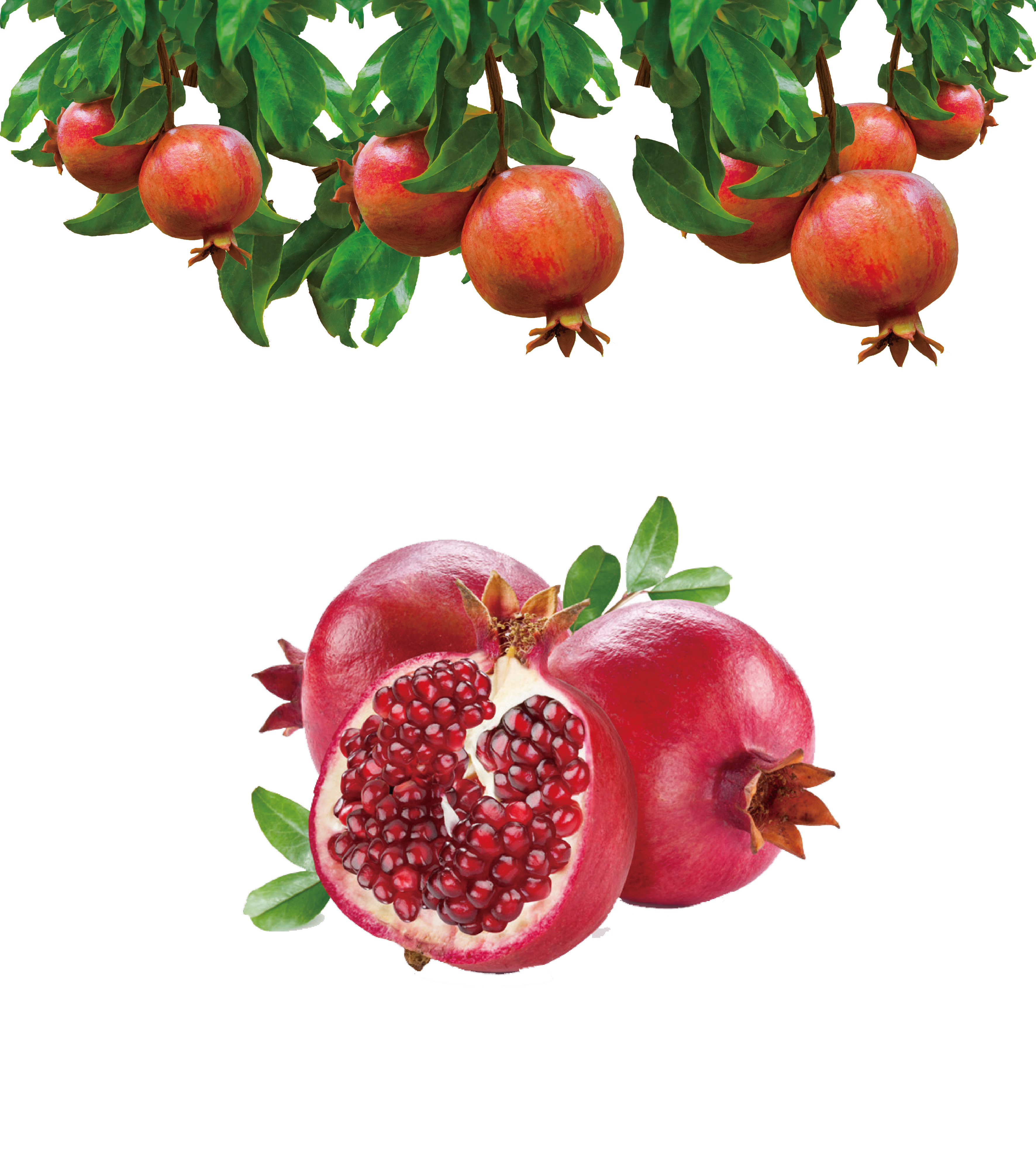 Juice Background Clipart
