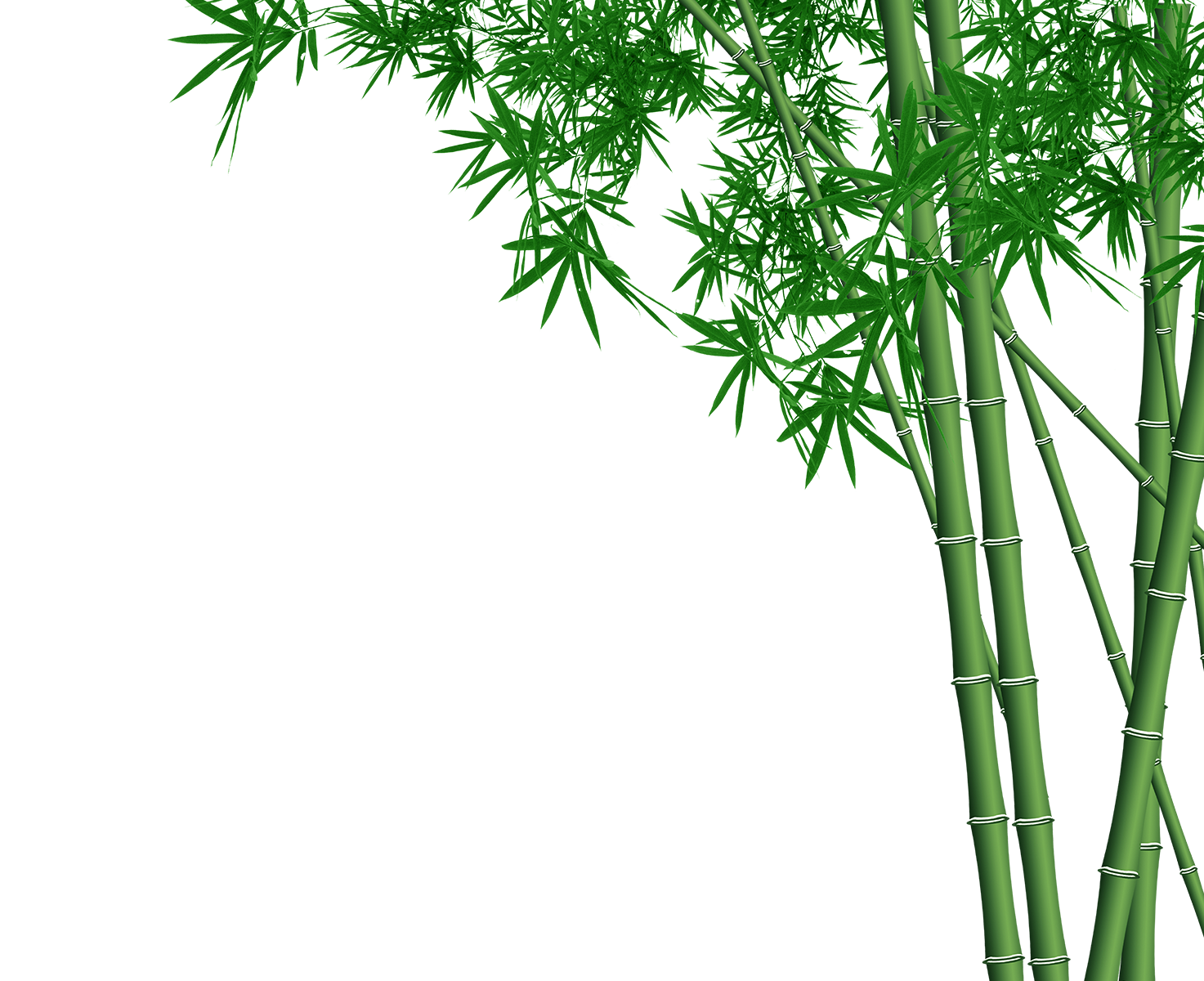 Green Grass Background Clipart
