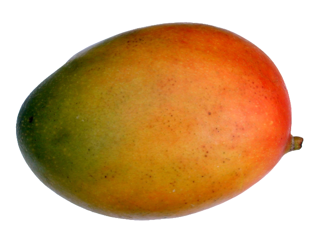 Mango Cartoon Clipart