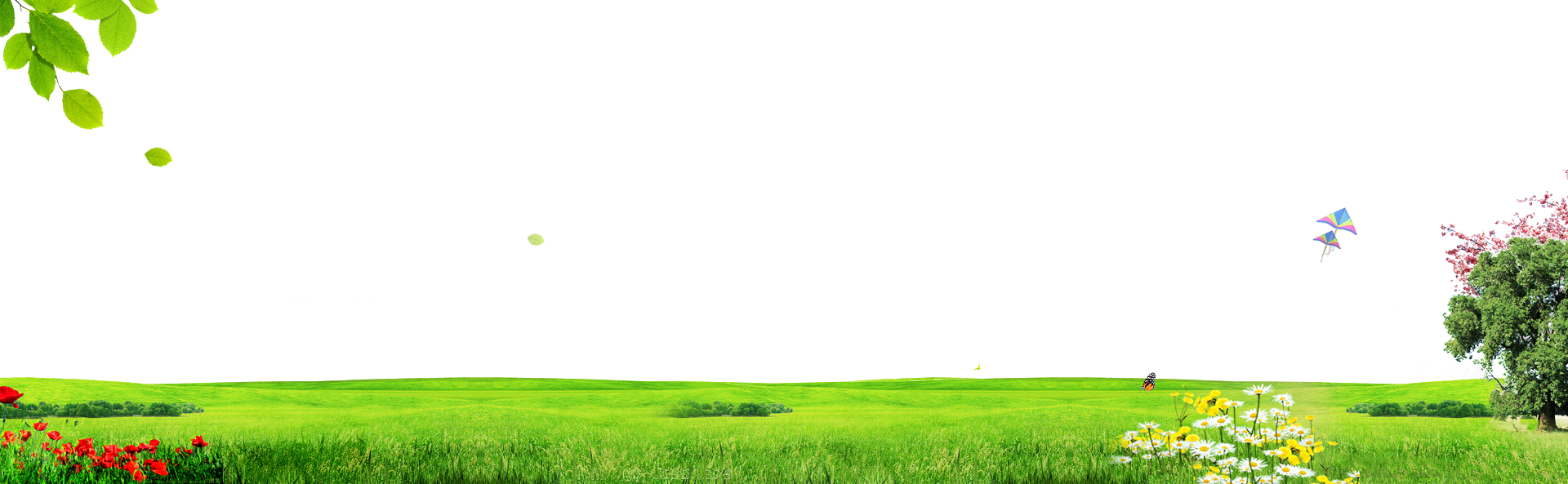 Green Grass Background Clipart