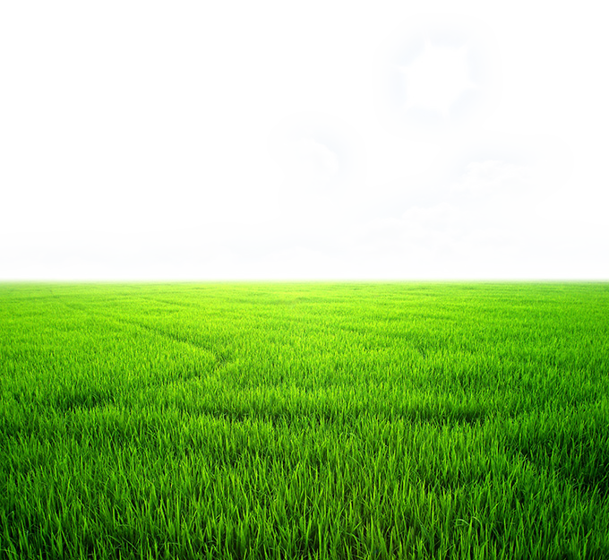Green Grass Background Clipart