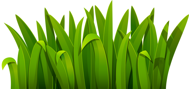 Green Grass Background Clipart