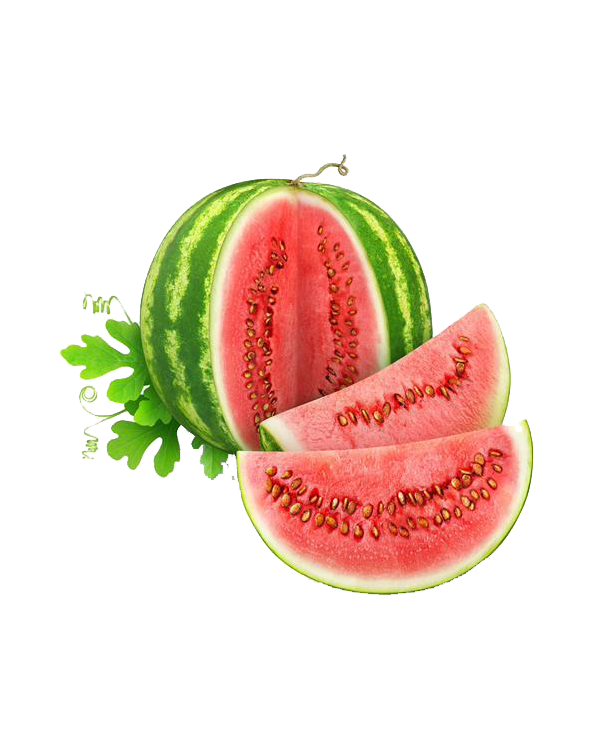 Watermelon Background Clipart