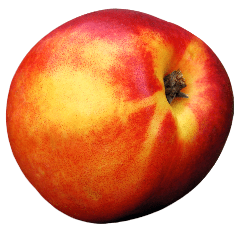 Apple Background Clipart