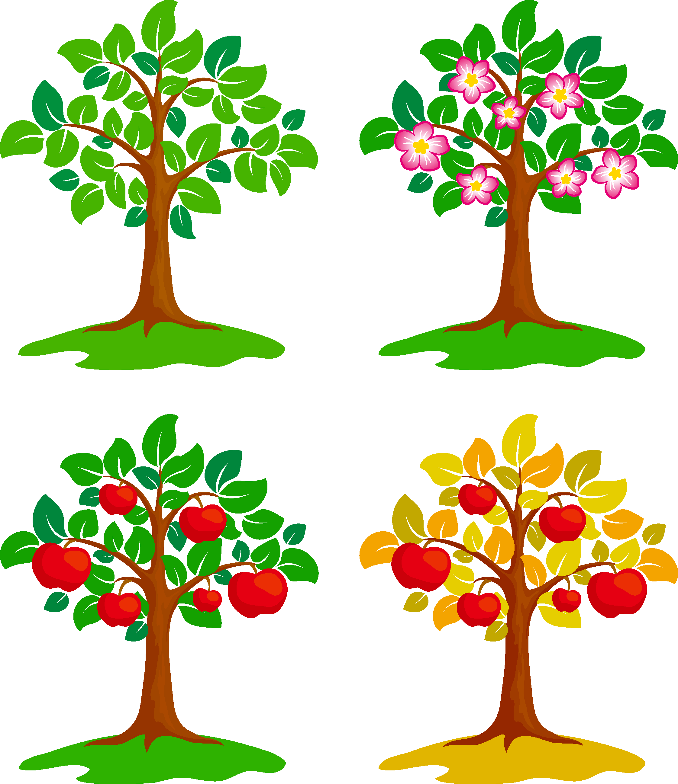 Apple Tree Drawing Clipart