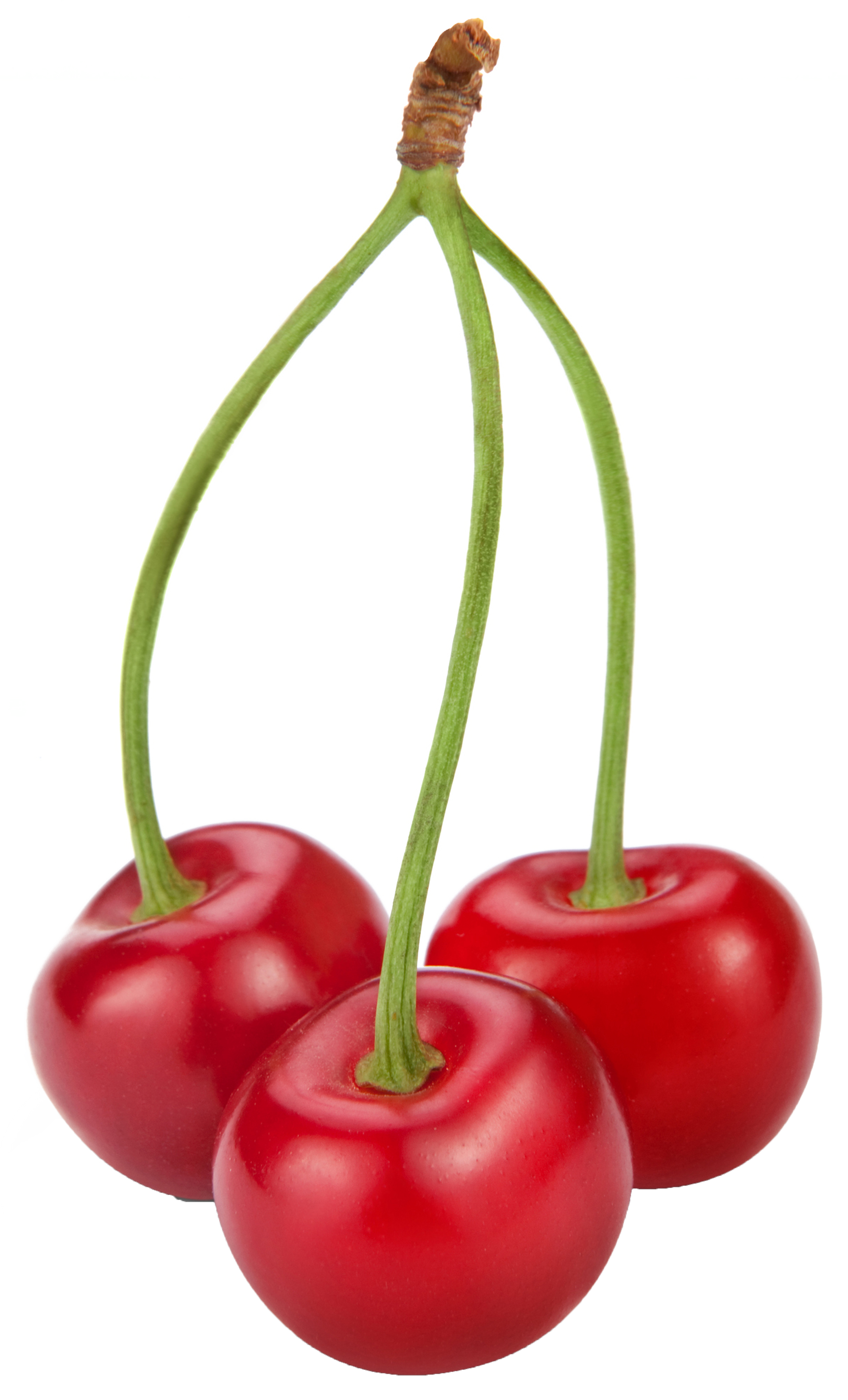 Banana Cartoon Clipart