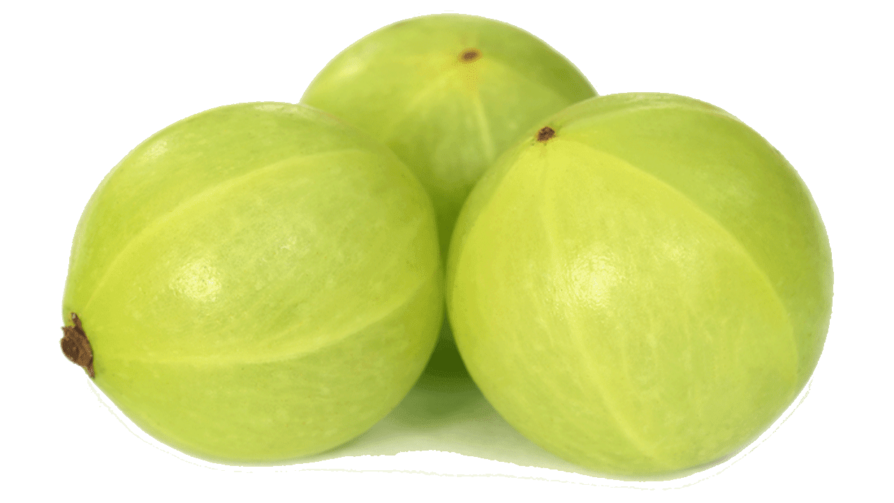 Apple Tree Clipart