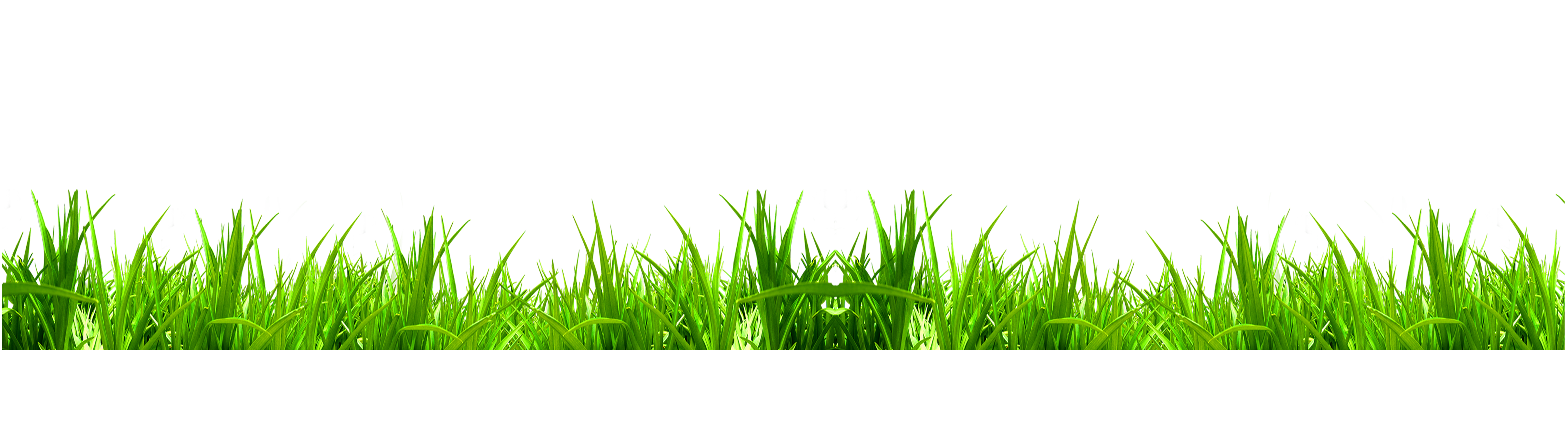 Green Grass Background Clipart