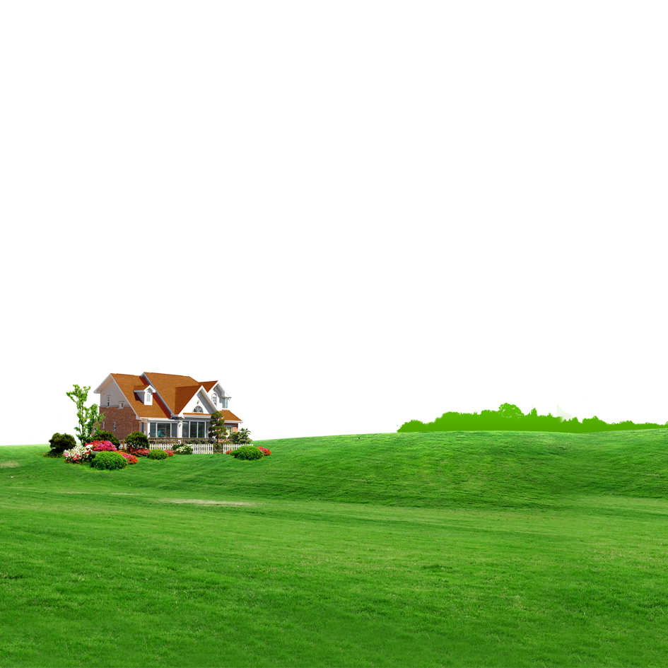 Green Grass Background Clipart