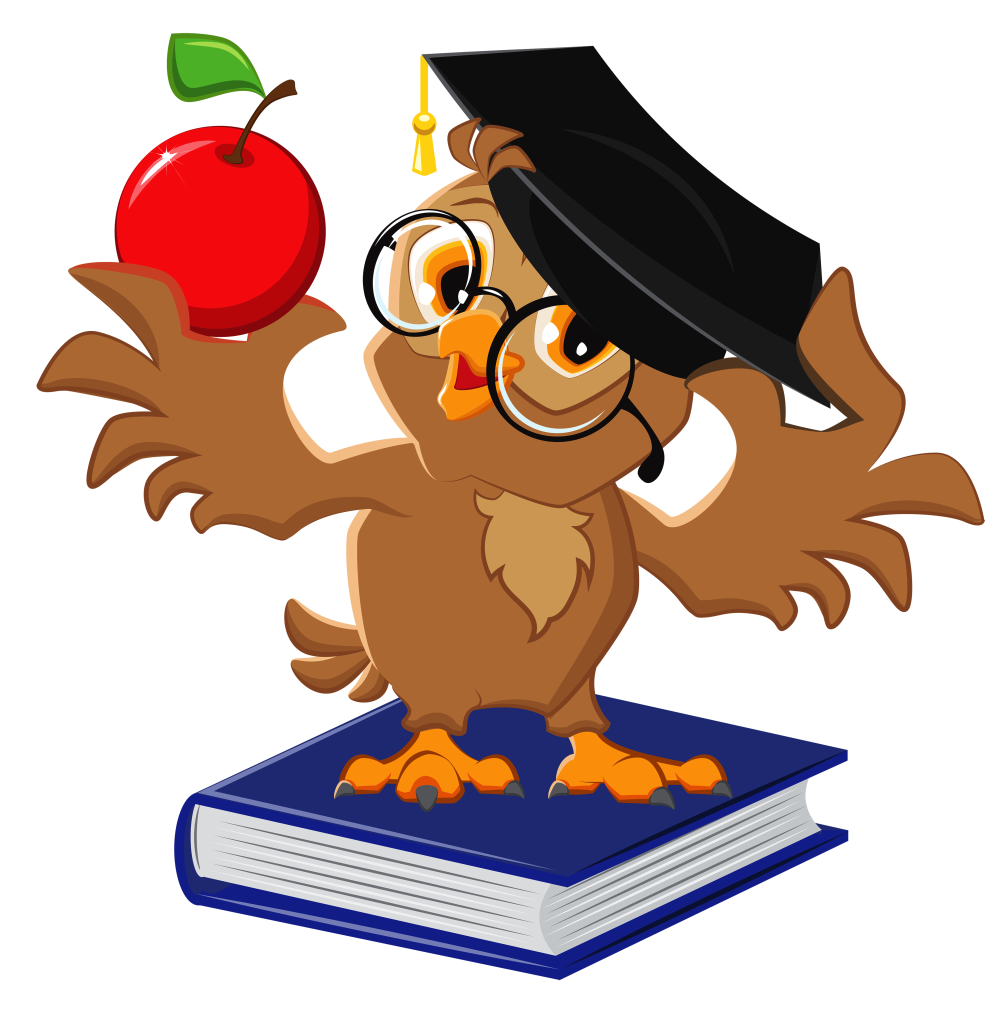 Owl Cartoon Clipart