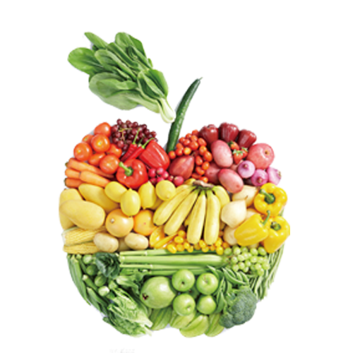 Healthy Lifestyle Clipart