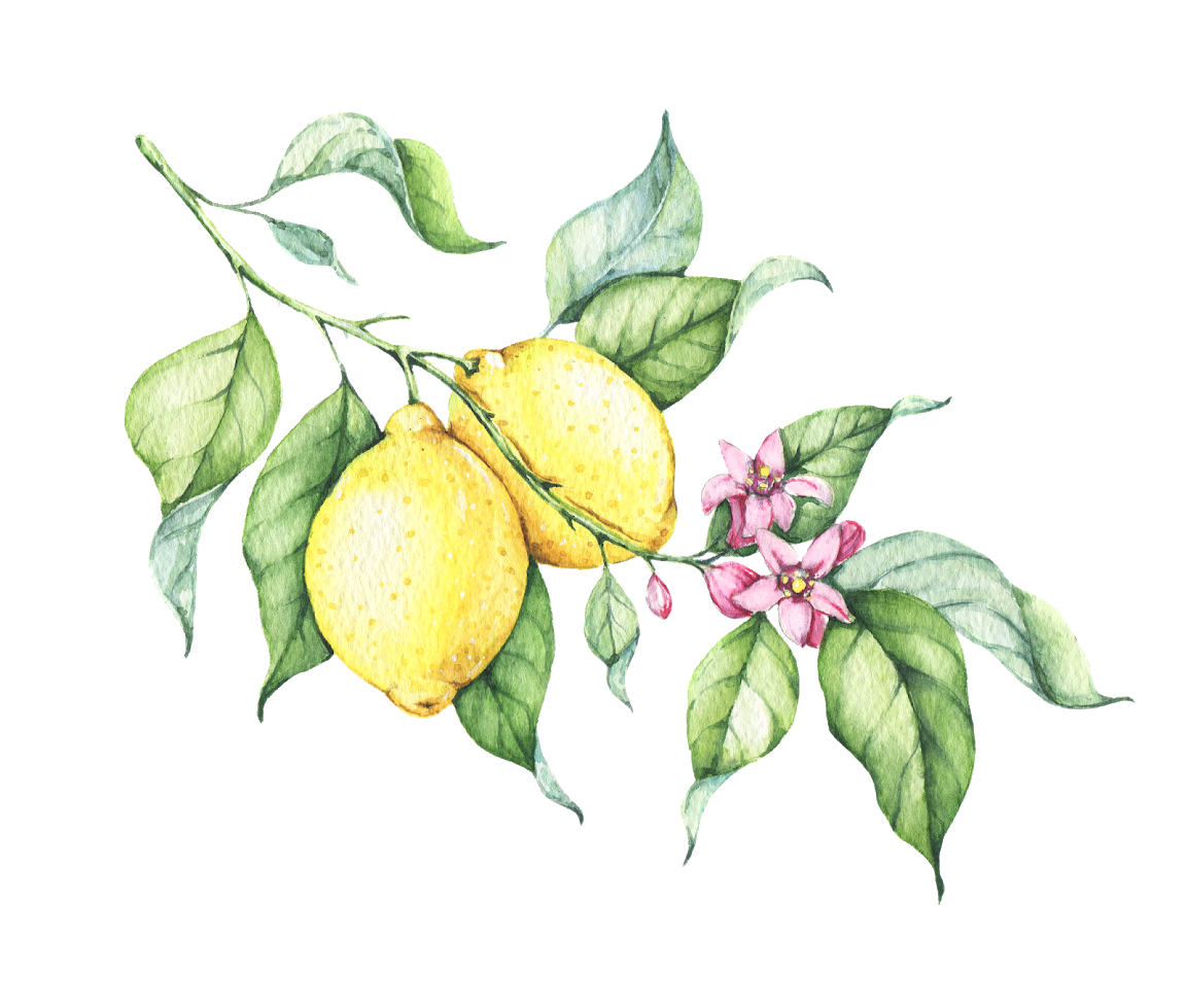 Watercolor Drop Clipart