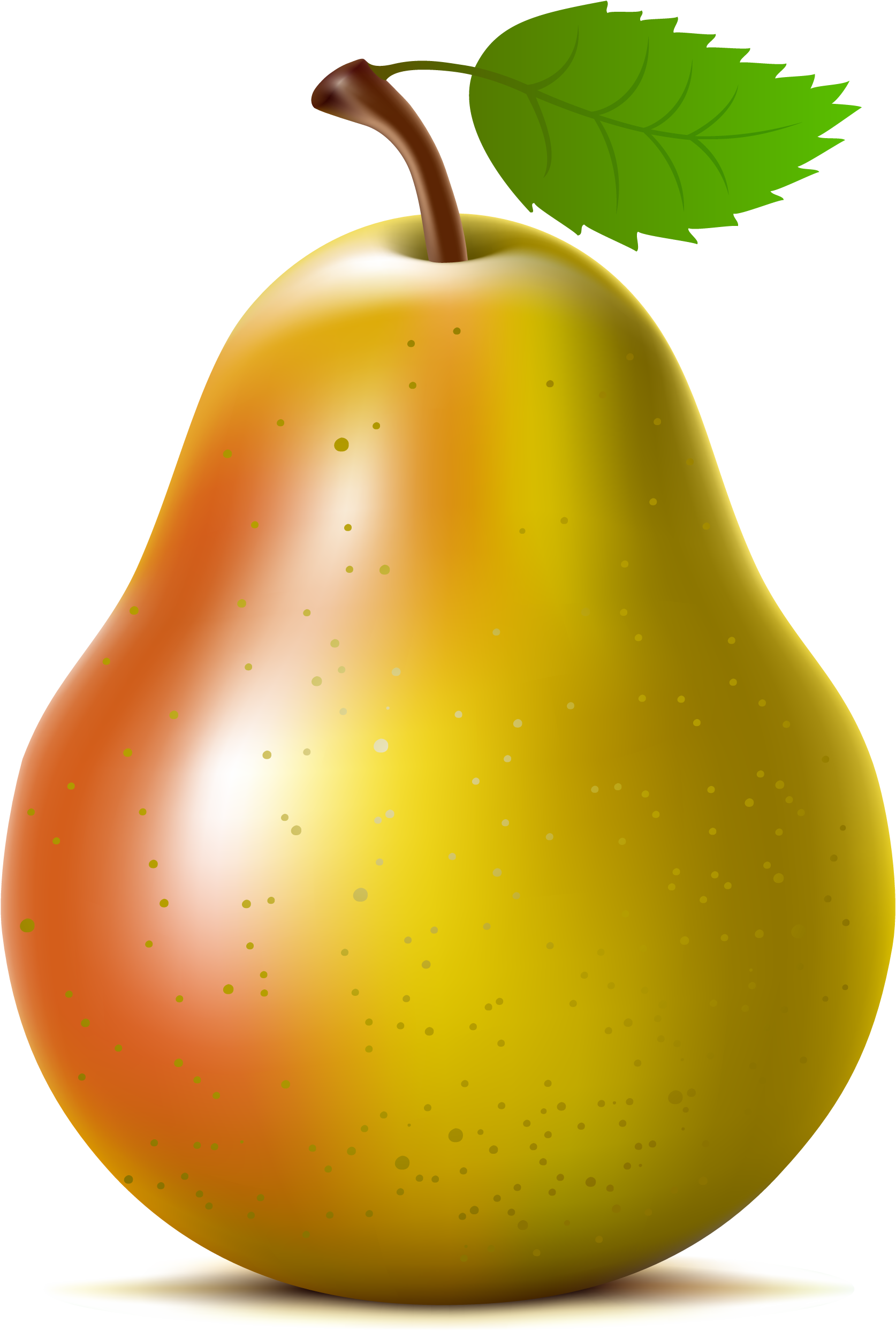 Tree Of Life Clipart