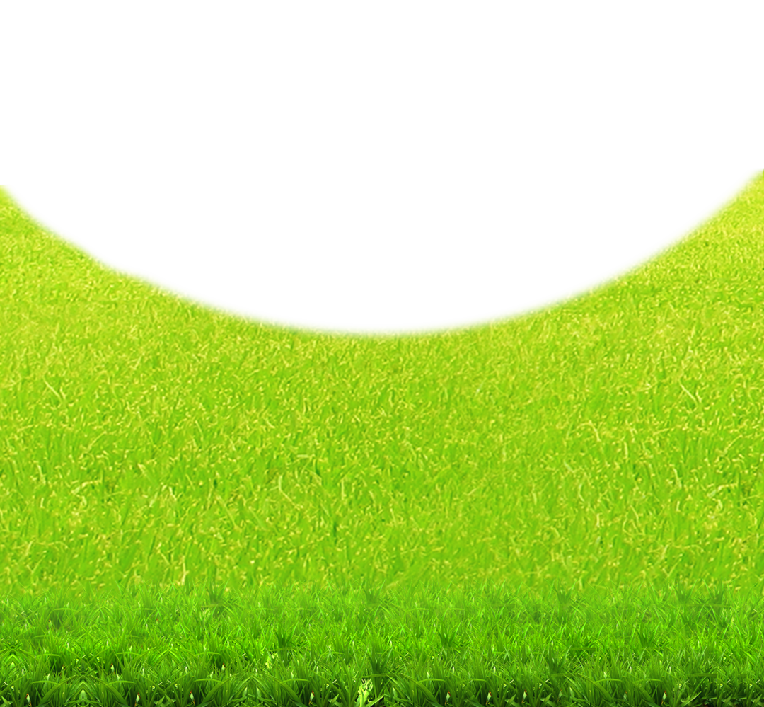 Green Grass Background Clipart