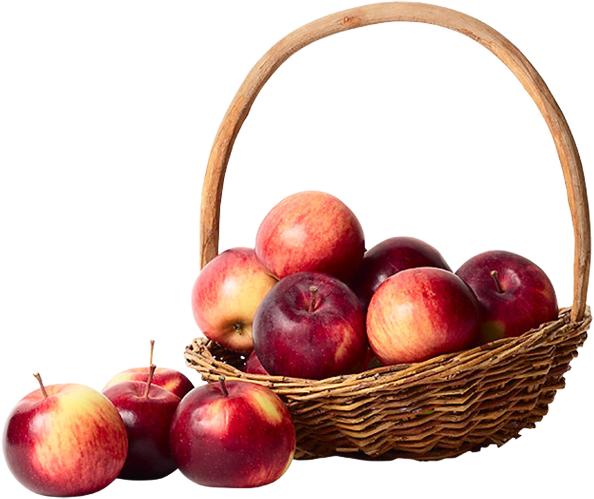 Apple Cartoon Clipart