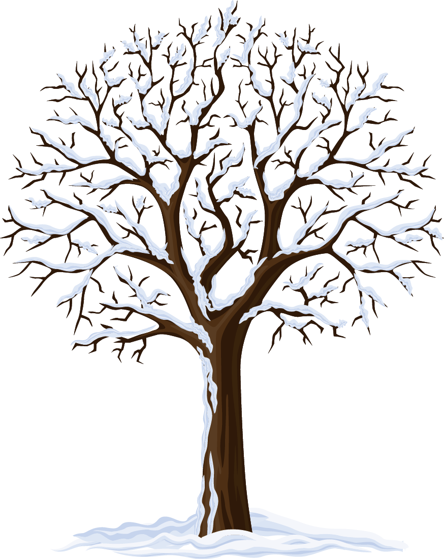 Autumn Tree Branch Clipart