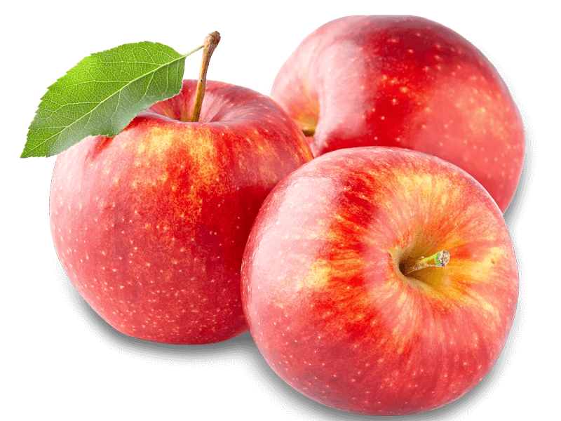 Grape Cartoon Clipart