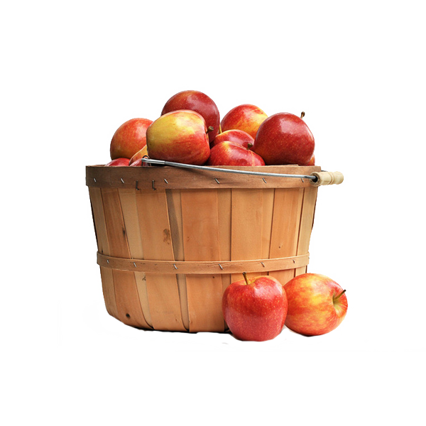 Apples Cartoon Clipart