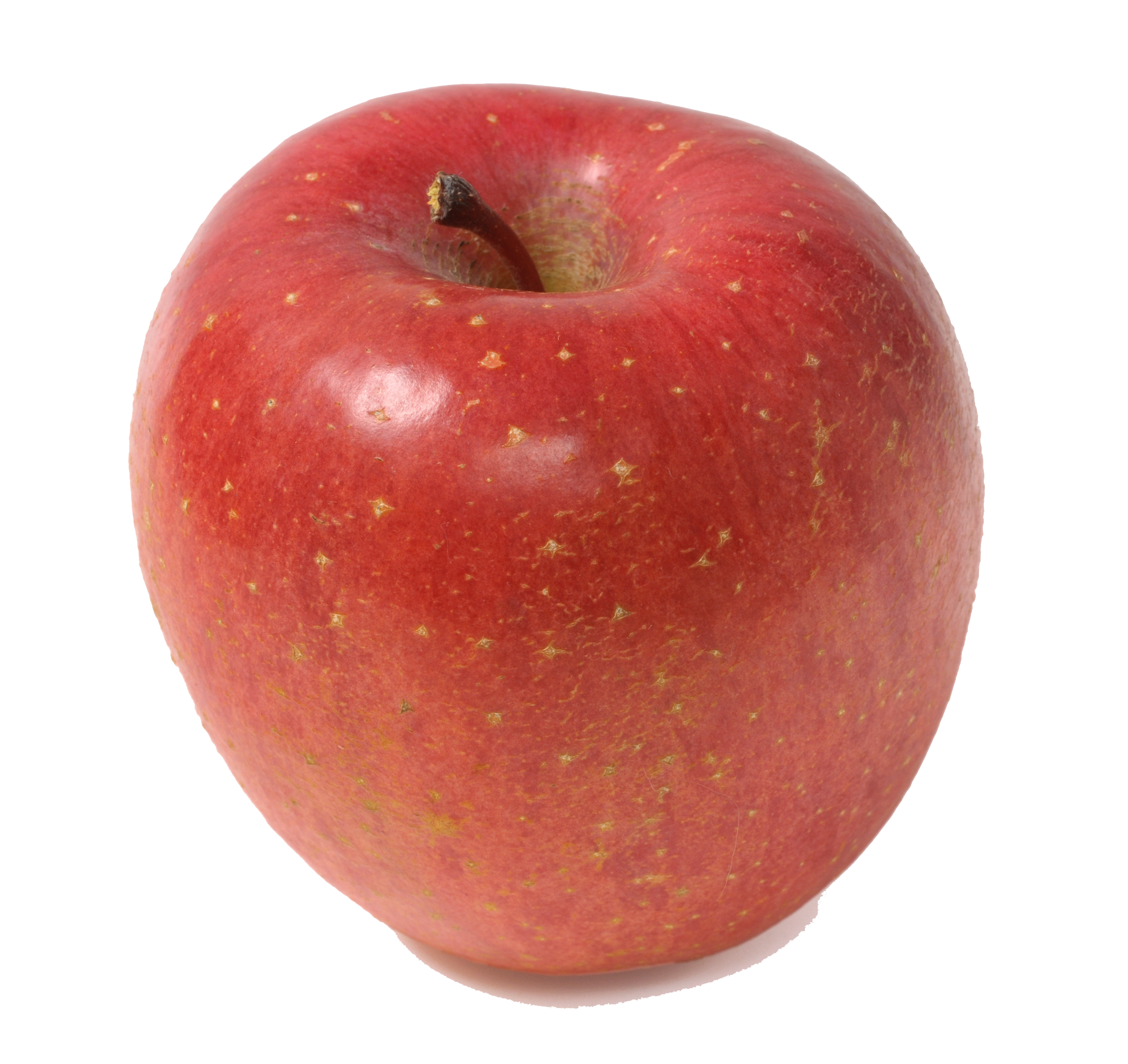 Apple Cartoon Clipart