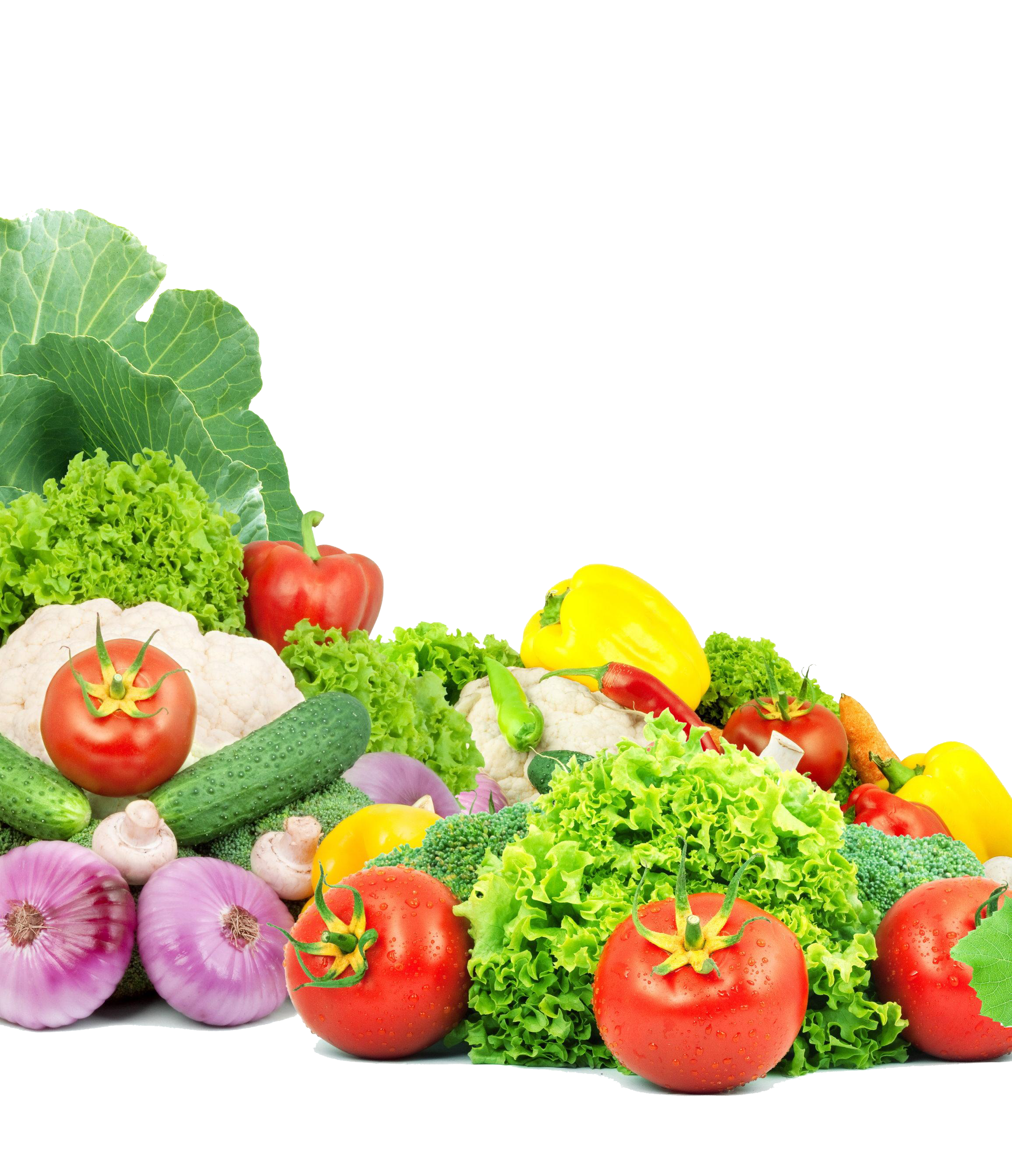 Healthy Food Clipart