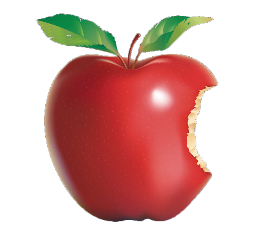 Family Cartoon Clipart