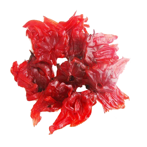 Hibiscus Flower Clipart