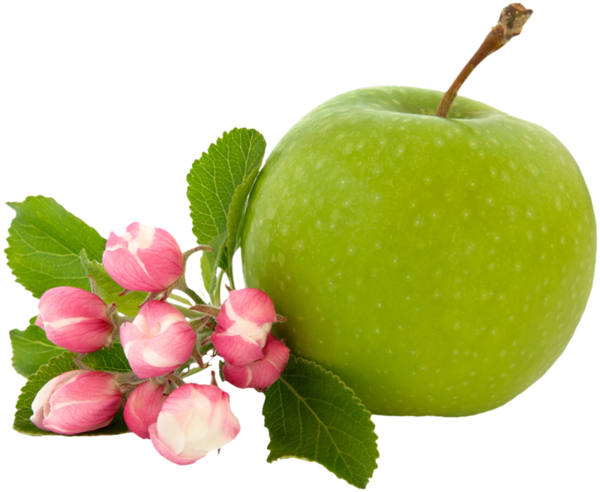 Apples Cartoon Clipart