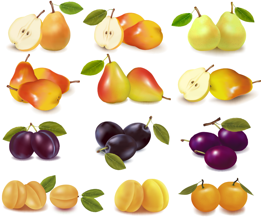 Food Background Clipart