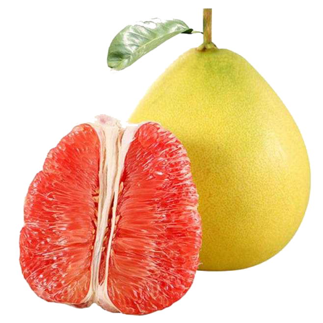 Honey Lemon Clipart