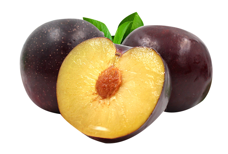 Fruit Cartoon Clipart
