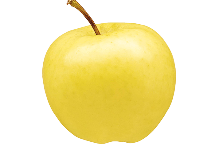 Ginger Gold Apple cider Golden Delicious Red Delicious Clipart
