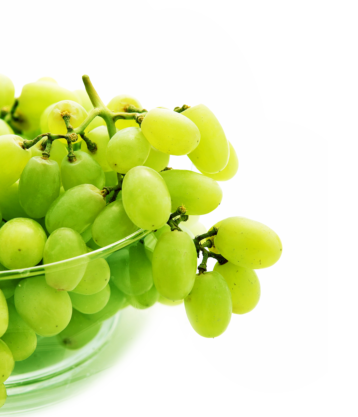 Apple Leaf Clipart
