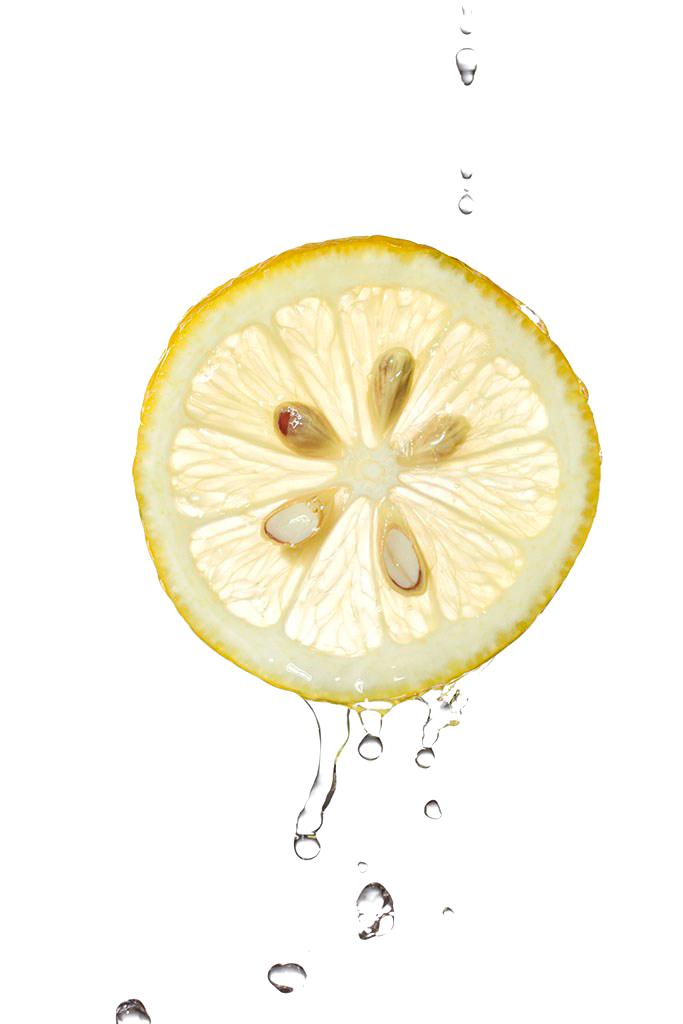 Lemon Slice Clipart